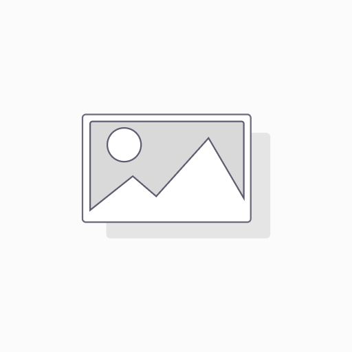 Microsoft Windows 11 Pro - Multi-Language
